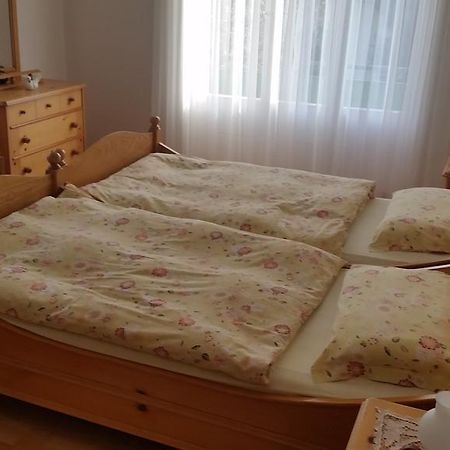 ロカルノCasa Angelaアパートメント 部屋 写真